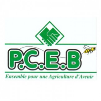 pcebsiteweb