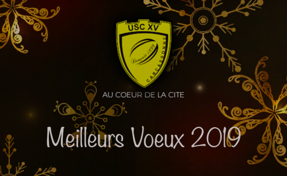 MeilleursVoeux2019