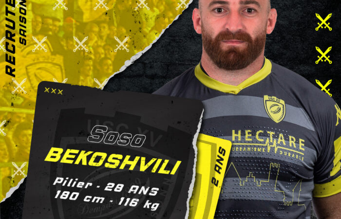 Soso Bekoshvili Carcassonne